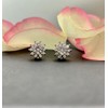 Silver Nap Stud Earrings for Women Round Titanium CZ Screw