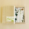Toumei toumei 押花 katorari-resuto Set of 3 Wood Box