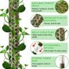 Fabulas 55 Inch Moss Pole Monstera Plant Support, 4 Pack