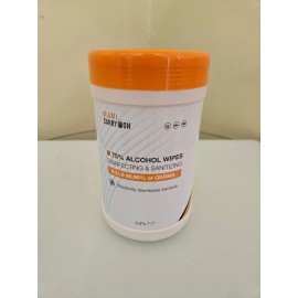 Miami Carry On 75% Alcohol Wipes 100 Count Surface Cleaner BUY MORE SAVE BIG!