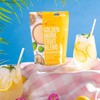 BetterBody Foods Golden Monk Fruit Sweetener Blend - Sugar Substitute,