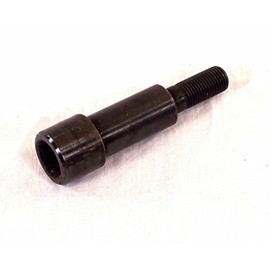 Irs Pivot Bolt, for Beetle 69-79, Ghia 69-74, Each, Compatible with Dune Buggy