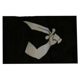 12x18 12"x18" Jolly Roger Pirate Thomas Tew Sleeve Flag Garden