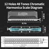 Conjurer Chromatic Harmonica EasyChroma 12 Hole Advanced C Key Mouth
