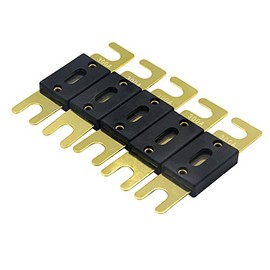 ZOOKOTO 5 Pack ANL Fuses 300Amp Gold Plated Fuse
