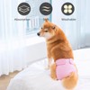 ACDOK Medium Female Dog Diapers, Highly Absorbent, Reusable, Up to