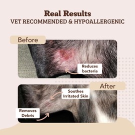 Natural Dog Company Skin Soother Wipes, 100 Count, Pet Wipes for Dogs, Hypoallergenic Formula, Dog Moisturizer for Dry Skin, Grooming Wipes for Dogs, Pet Itch Relief for Dogs