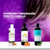 Shampoo Natural de Thuja y Árnica | Fortalece la Raíz,