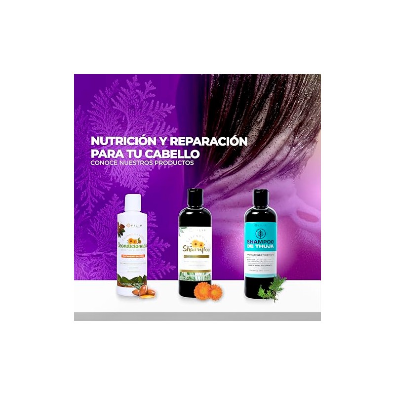 Shampoo Natural de Thuja y Árnica | Fortalece la Raíz,