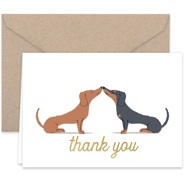 Paper Frenzy Dogs Puppies Thank You Note Card Collection 25 pack with Kraft Envelopes