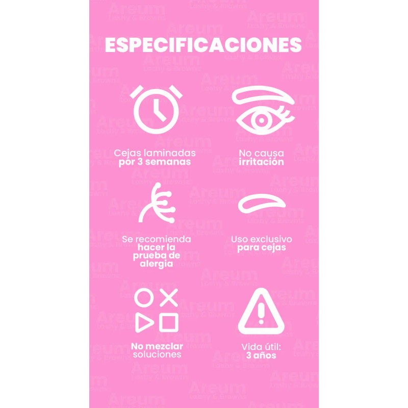 Kit Planchado De Cejas Profesional Areum Lashy & Browns
