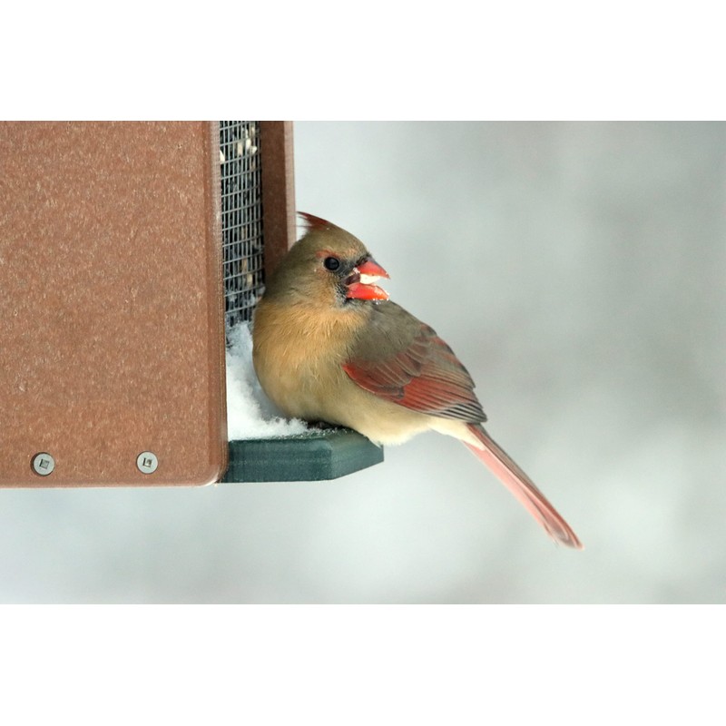 Recycled Screen Hopper Feeder (Large)