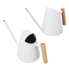 Watering Can with Long Spout Rustproof Stainless Steel Watering Pot