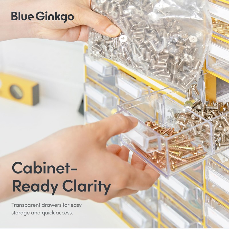 Blue Ginkgo Small 20-Drawer Cabinet – Stackable Clear Organizer for
