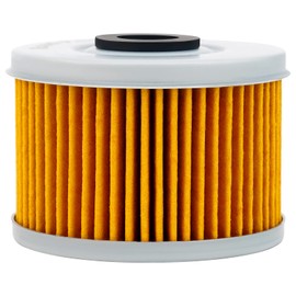 Road Passion 15412HM5A10 High Performance Oil Filter for HONDA TRX420 TE TM FOURTRAX RANCHER ES 420 2007-2016 TRX420 TE1 TM1 2014-2016