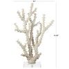 Deco 79 Polystone Coral Decorative Sculpture Home Decor Statue with