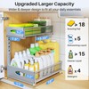 Under Sink Organizer, 2 Pack 2 Tier Pull Out Under