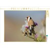 CALVENDO Puzzle - Stiglitz - 1000 Pieces Photo Puzzle for