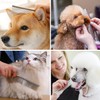 Dog Comb & Cat Comb, Stainless Steel Pet Comb, Gently