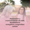 Nad+ Regenerador Celular Vitamina B3 120 Cápsulas