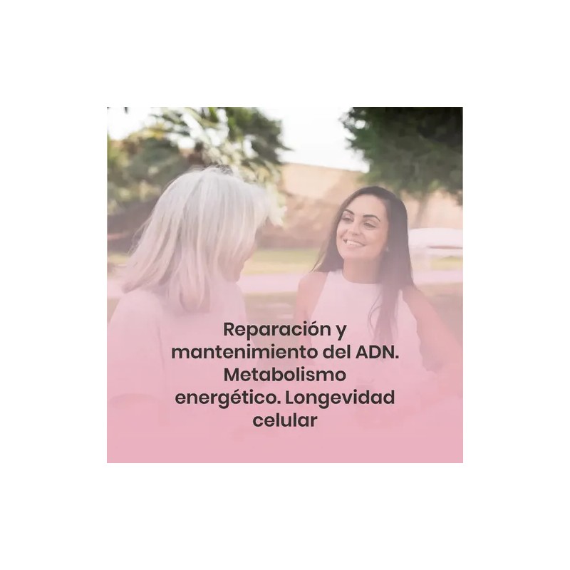Nad+ Regenerador Celular Vitamina B3 120 Cápsulas
