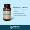 Nature's Sunshine Stomach Comfort, 60 Chewable Tablets | Helps Neutralize