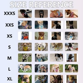 AIITLE Step in Dog Harness and Leash Set - Spring No Pull Escape Proof Vest Harnesses with Soft Mesh and Reflective Bands, Adjustable Pet Outdoor Harnesses for Small and Medium Dogs Turquoise M