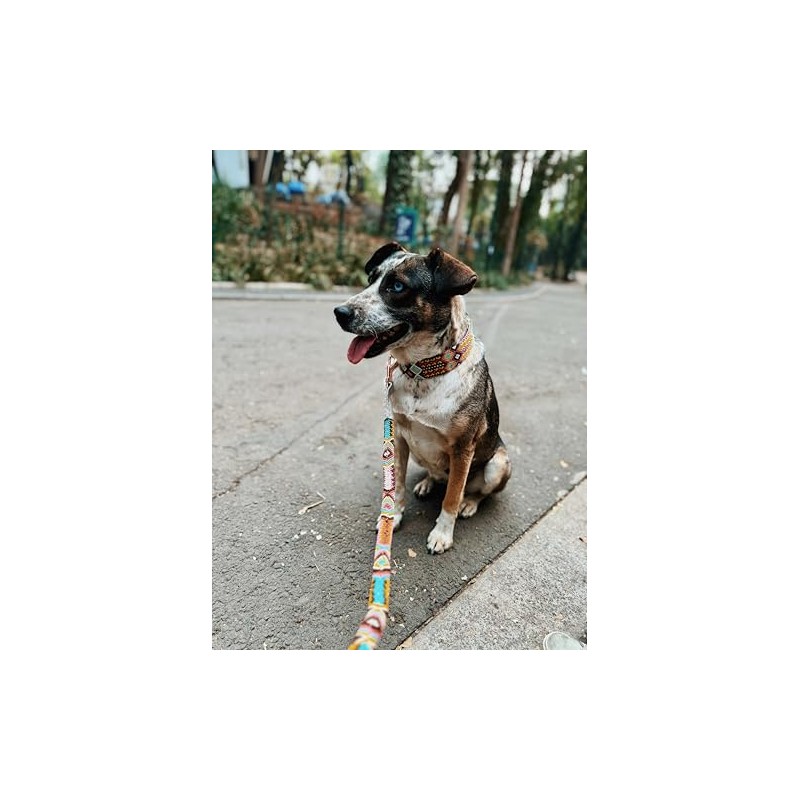 Dakini Correa Artesanal para Perro con Acabados de Lujo. Extra