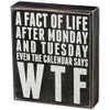 Primitives By Kathy Box Sign, Pardon The Mess, 6-Inch by