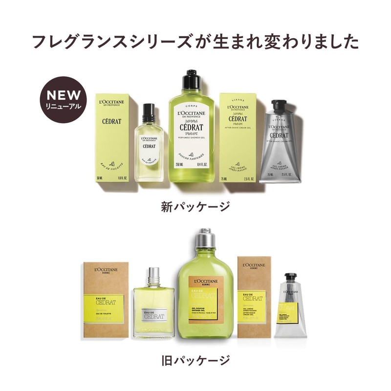 L'Occitane Sedra Perfumed Shower Gel, 8.5 fl oz (250 ml),