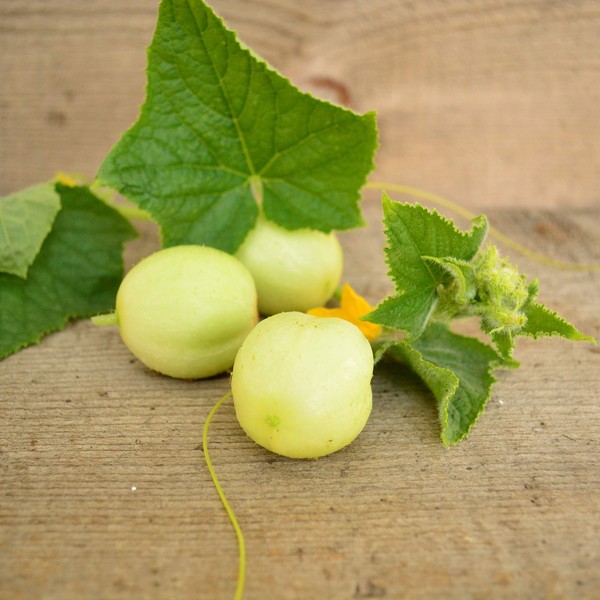 Lemon Cucumber - 25 Seeds
