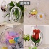 TKY Plastic Balls, Plastic Spheres, Ornaments, Balls, Decorative, Clear, Hollow,