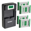 Kastar 4-Pack BL-5B Battery and Smart LCD Charger for Tecsun