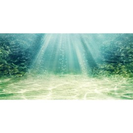 AWERT 36x18 inches Aquarium Background Aquatic Plant Bubble Underwater Ocean Floor Fish Tank Background Durable Polyester Background