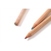 Eyeball Pencils / 7 Color Lead Pencils N/W 7 in