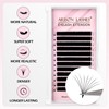 Arison Lashes Easy Fan Lashes, 0.05 D Curl, 10 mm