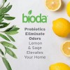Bioda Commercial Strength Enzymatic Stain & Odor Eliminator for Pets