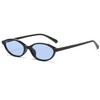 NULOOQ Retro Oval Cat Eye Sunglasses for Women Y2k Trendy