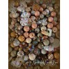 Bead Mixes By Color:_Coffee_Regular - $15.99