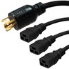 L6-30P to 3X C19 Splitter Power Cord, 20A, 250V, 8ft