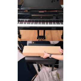 Archilight Stella Pro Grand Piano Lamp with Remote