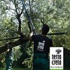 Terra Creta, 100% Koroneiki Variety, Estate Greek Extra Virgin Olive