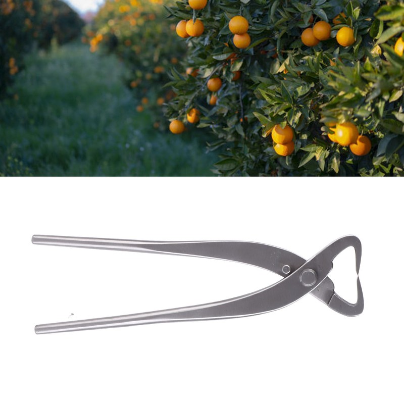 Trunk Splitter Silver Bonsai Modeling Tools Chrome Alloy 20cm Branch