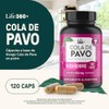 LIFE 360+ Cola de Pavo Extracto Puro | 120 cápsulas