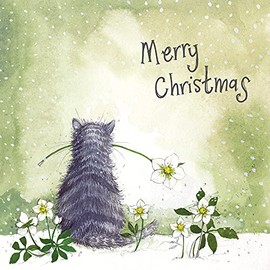 ALEX CLARK Cat and Snow Roses Christmas Card Pack of 5