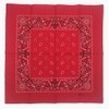 Vamqor 100% Cotton 10 Pack Fine Bandanas（Red）