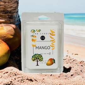 3 Pack Mango Scent Made in USA Fragrance Wax Melts Luxury Premium Soy 3 2.4 ox Clean Ingredients Essential Oils Hand Poured Cubes Candle Tarts Fruit Fruity Tropical