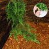 PINVNBY Bearded Dragon Habitat Decor Reptile Hammock Lizard Terrarium Lounger