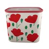 TUPPERWARE Quadro Optimum Ultimo 17158 2.1 L White Red Flower