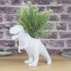 Dinosaur Planter